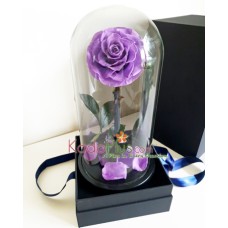Everlasting Purple Rose Premium